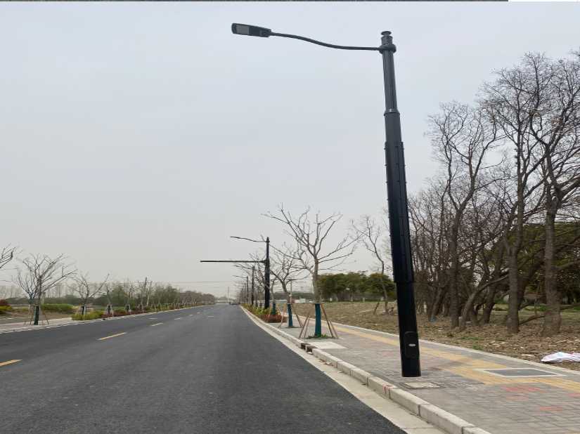 正阳县上海综合杆 太阳能路灯工程
